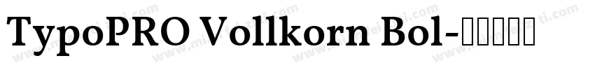 TypoPRO Vollkorn Bol字体转换